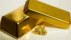 Muž kopal bazén a našel zlato: Jak poklad za 800 000 dolarů léta čekal pod zemí?