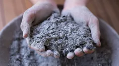 Dřevěný popel pod sněhem: 5 kroků, jak přes zimu obohatit půdu pro dokonalý jarní růst rostlin